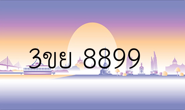 3ขย 8899